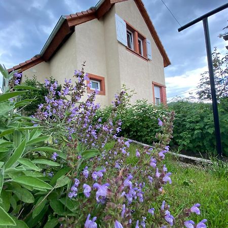 Le Refuge De L'Ours Βίλα Baerenthal Εξωτερικό φωτογραφία
