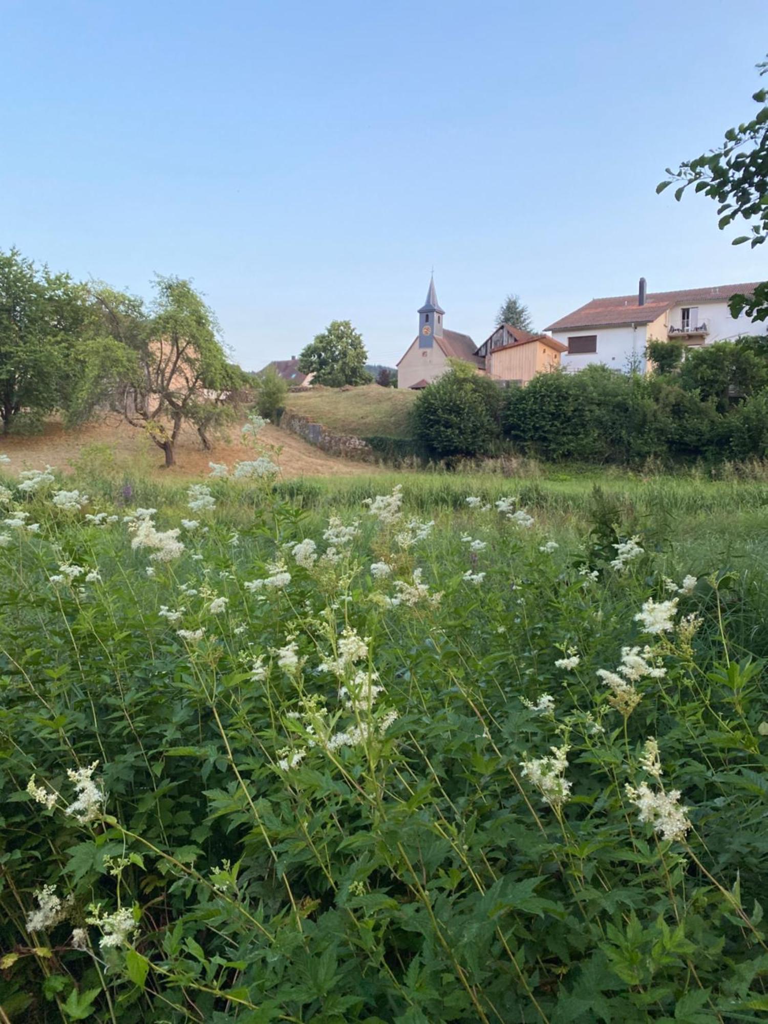 Le Refuge De L'Ours Βίλα Baerenthal Εξωτερικό φωτογραφία