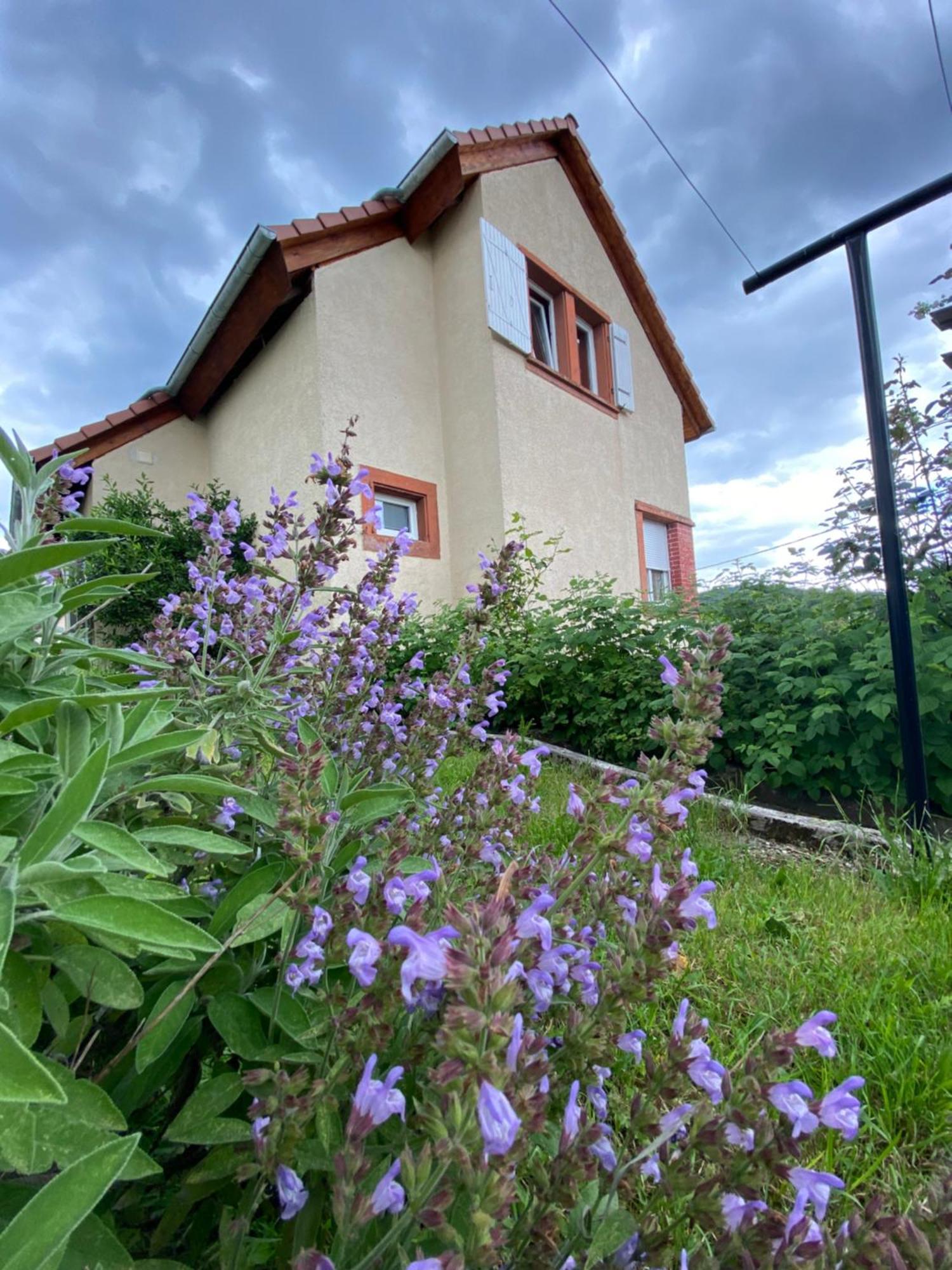 Le Refuge De L'Ours Βίλα Baerenthal Εξωτερικό φωτογραφία
